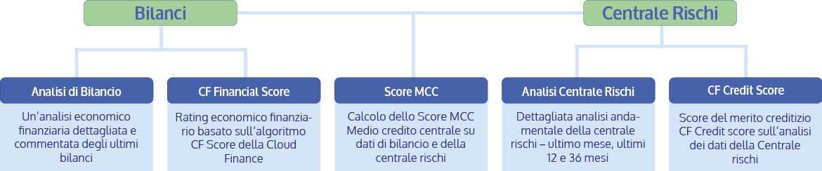 Grafico Report Centrale Rischi