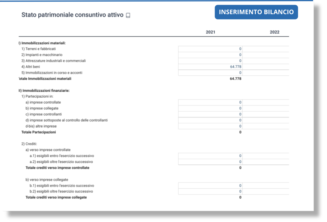 Inserimento Bilancio