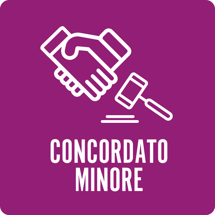 Concordato minore