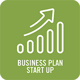 software business plan startup