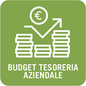 Software Gestione Tesoreria Aziendale