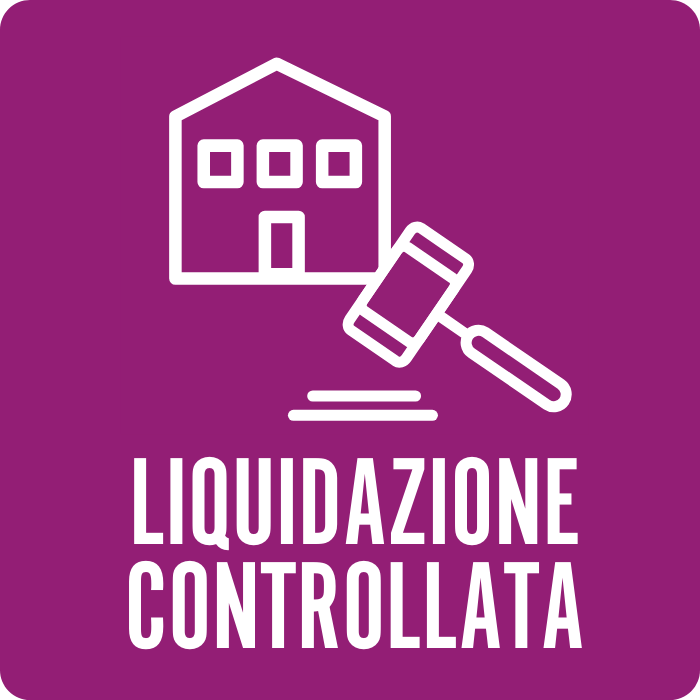 Software Liquidazione controllata