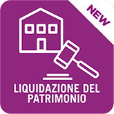 software liquidazione del patrimonio