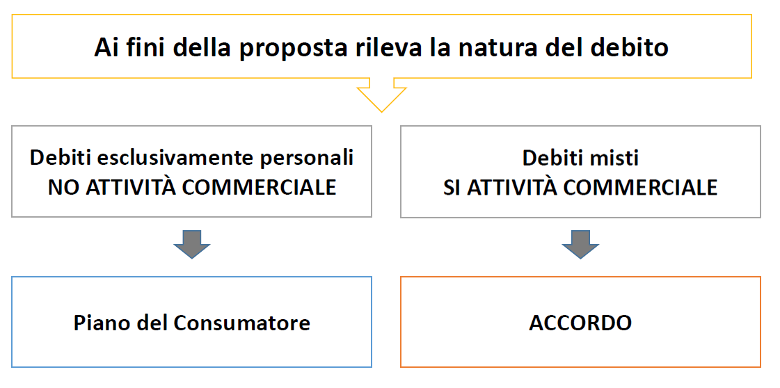 Il debito - Scelta del procedimento