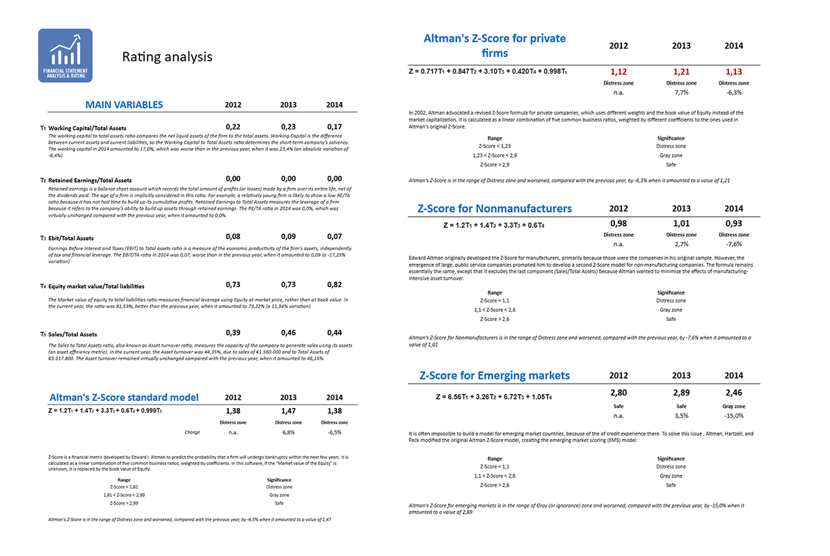 Software Financial Statement Analysis GAAP and IFRS - Rating analysis