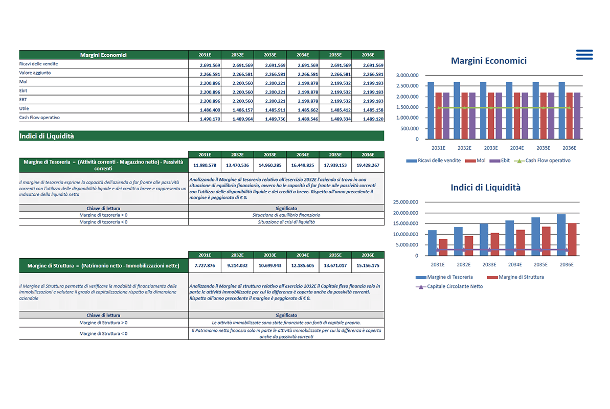 Software Piano Project Financing - Margini economici