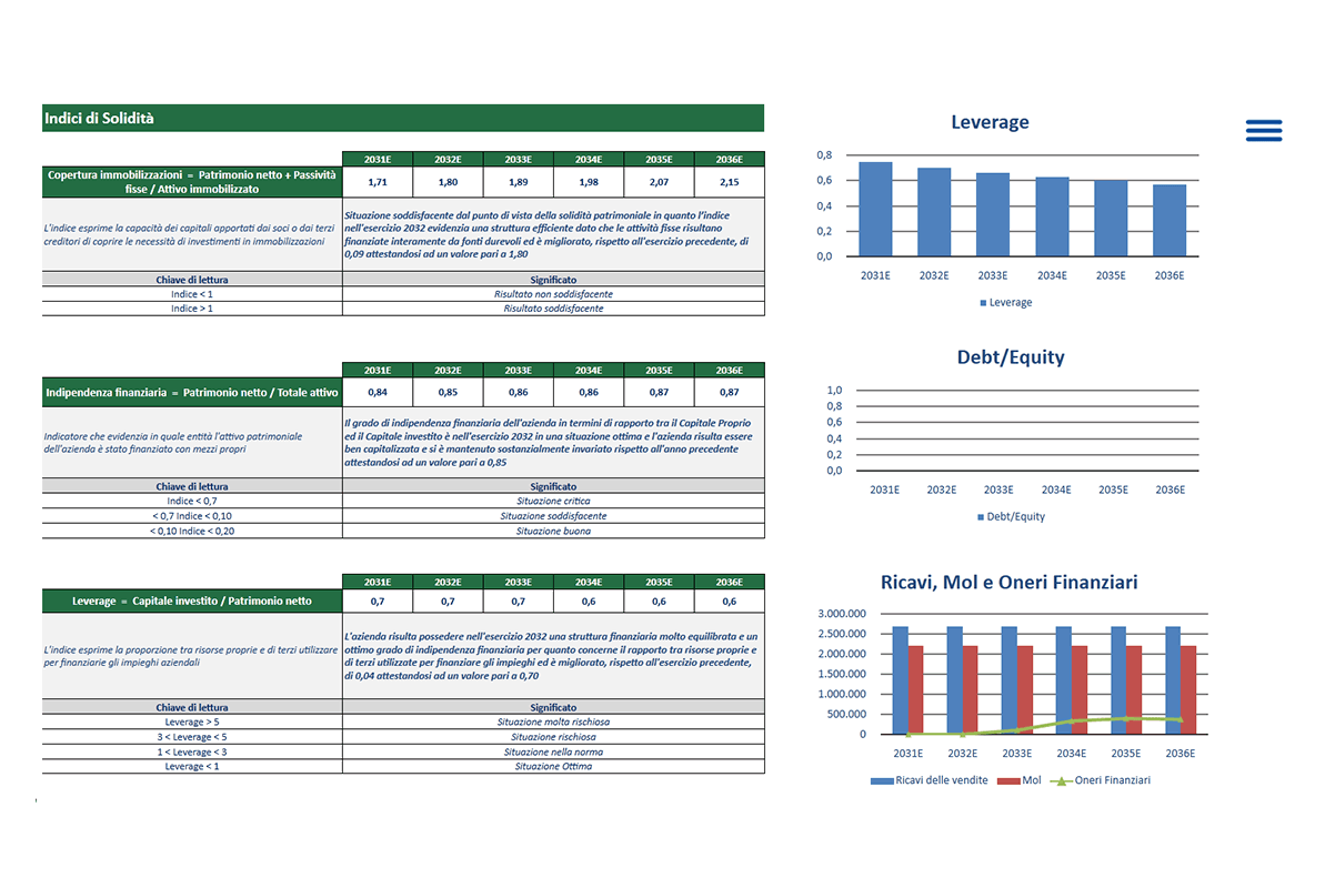 Software Piano Project Financing - Indici di Solidità