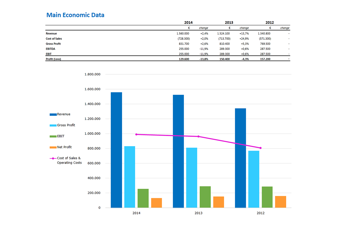 Software Financial Statement Analysis GAAP and IFRS - Main economic data