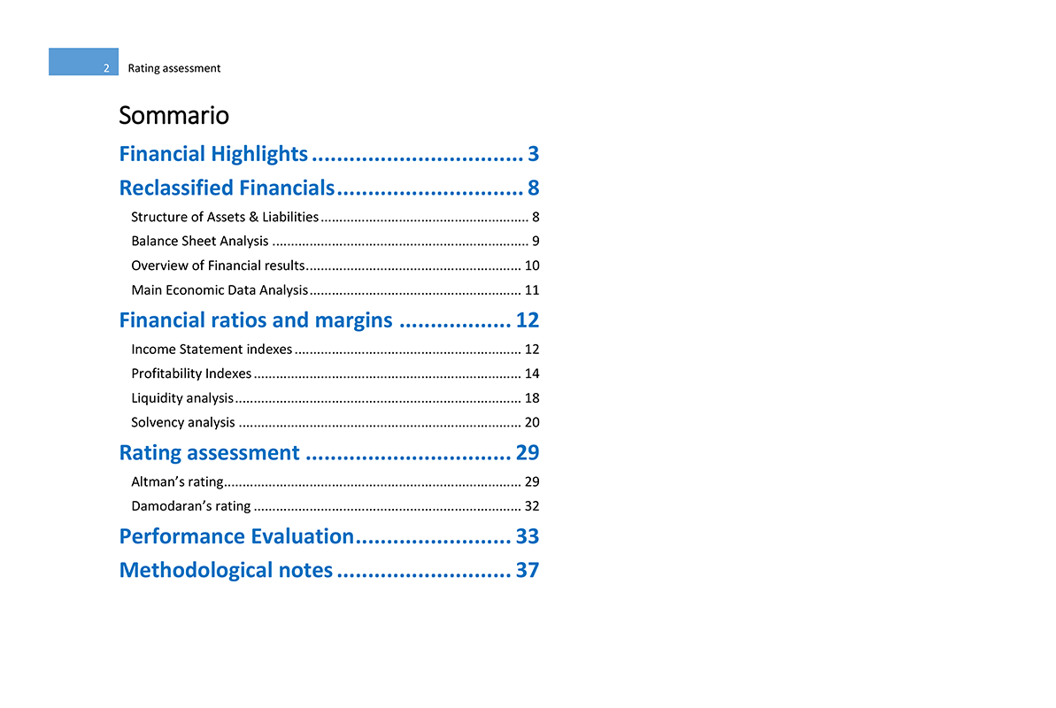 Software Financial Statement Analysis GAAP and IFRS - Edit