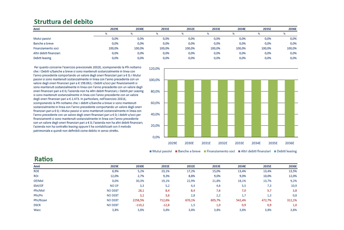 Software Piano Project Financing - Struttura del debito
