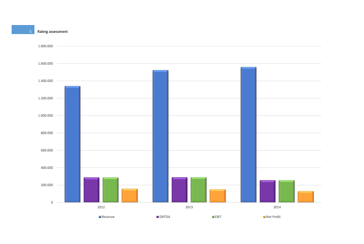 Software Financial Statement Analysis GAAP and IFRS - Rating assessment