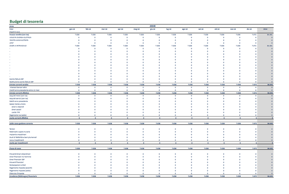 Software Piano Project Financing - Budget di tesoreria