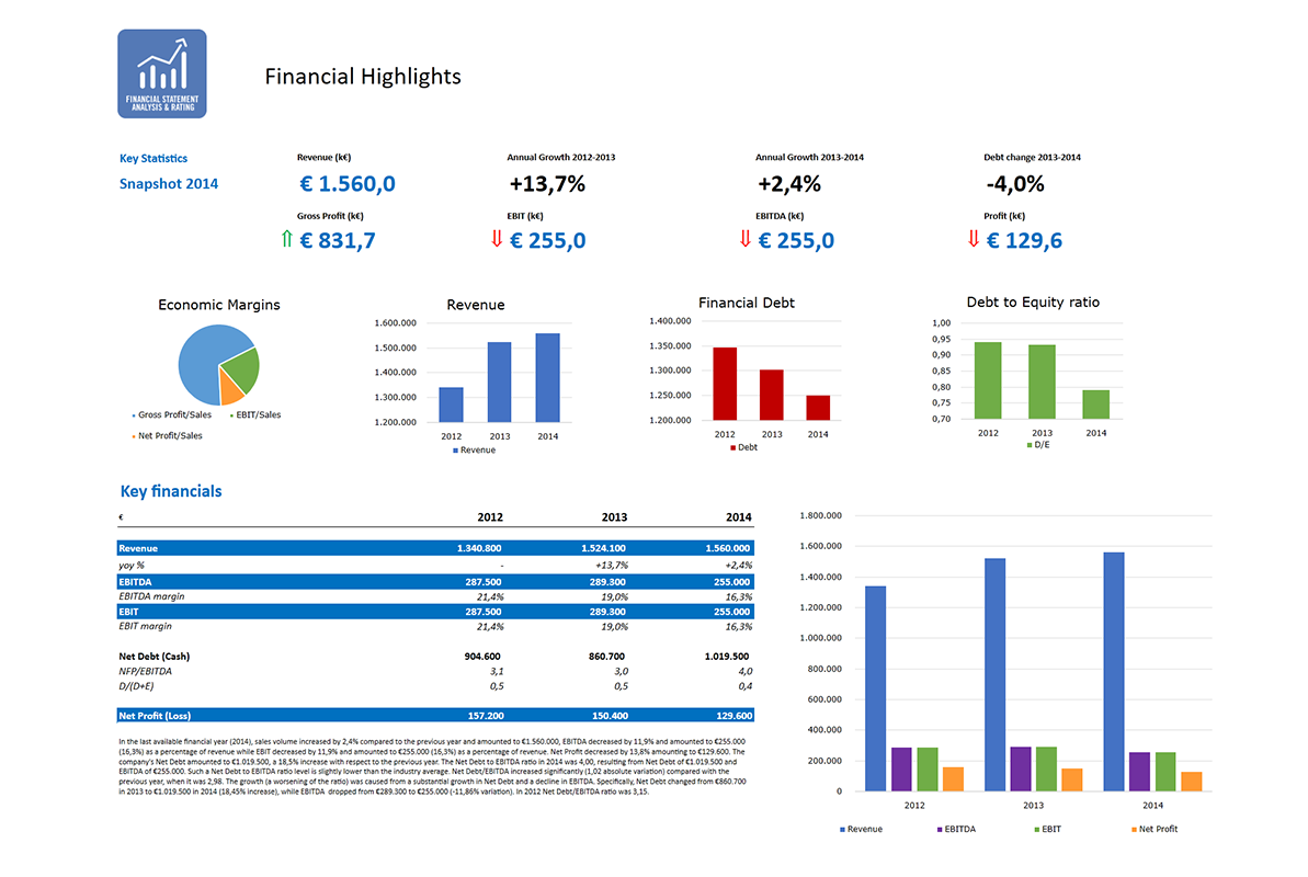 Software Financial Statement Analysis GAAP and IFRS - FInancial Highlights dashboard