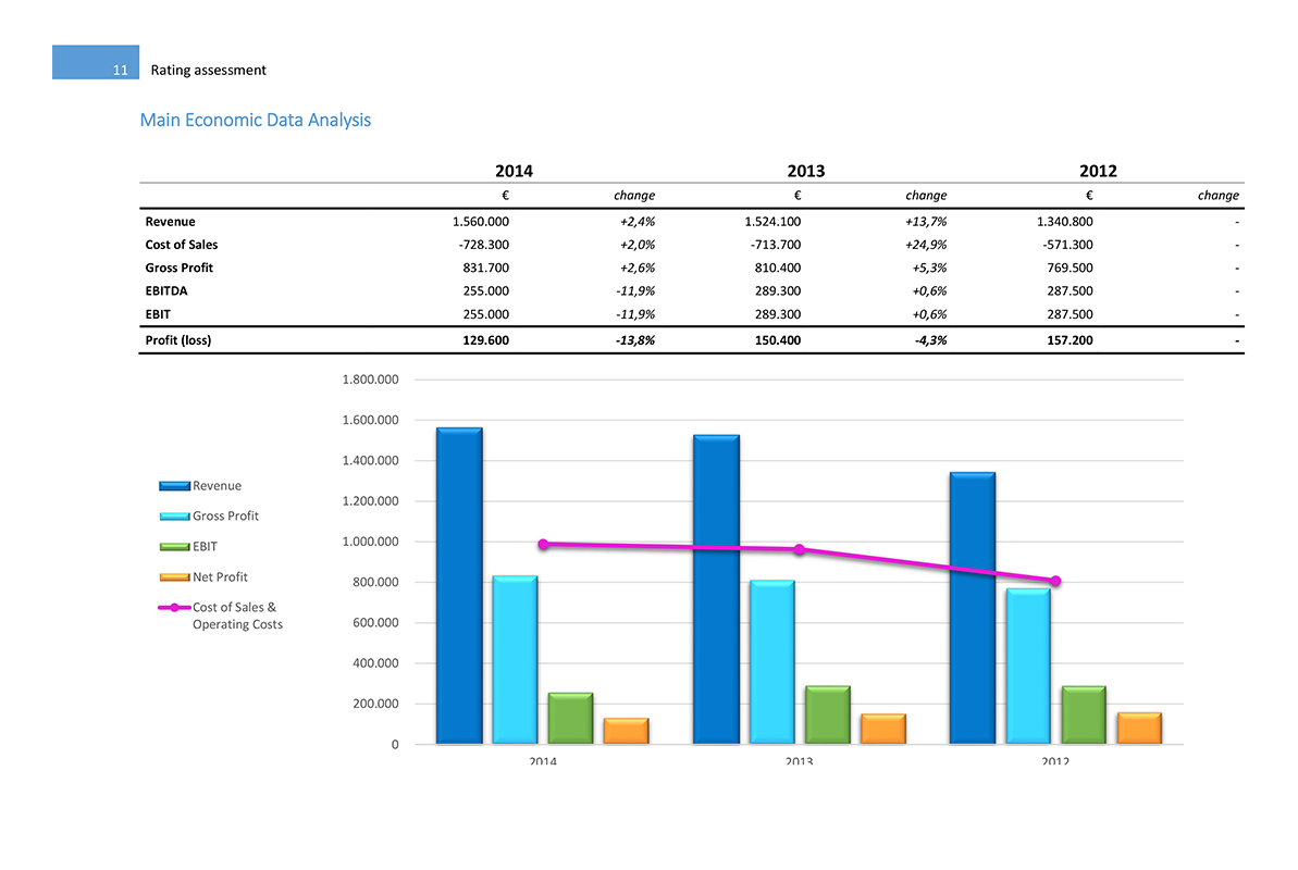 Software Financial Statement Analysis GAAP and IFRS - Rating Assessment main economic data analysis