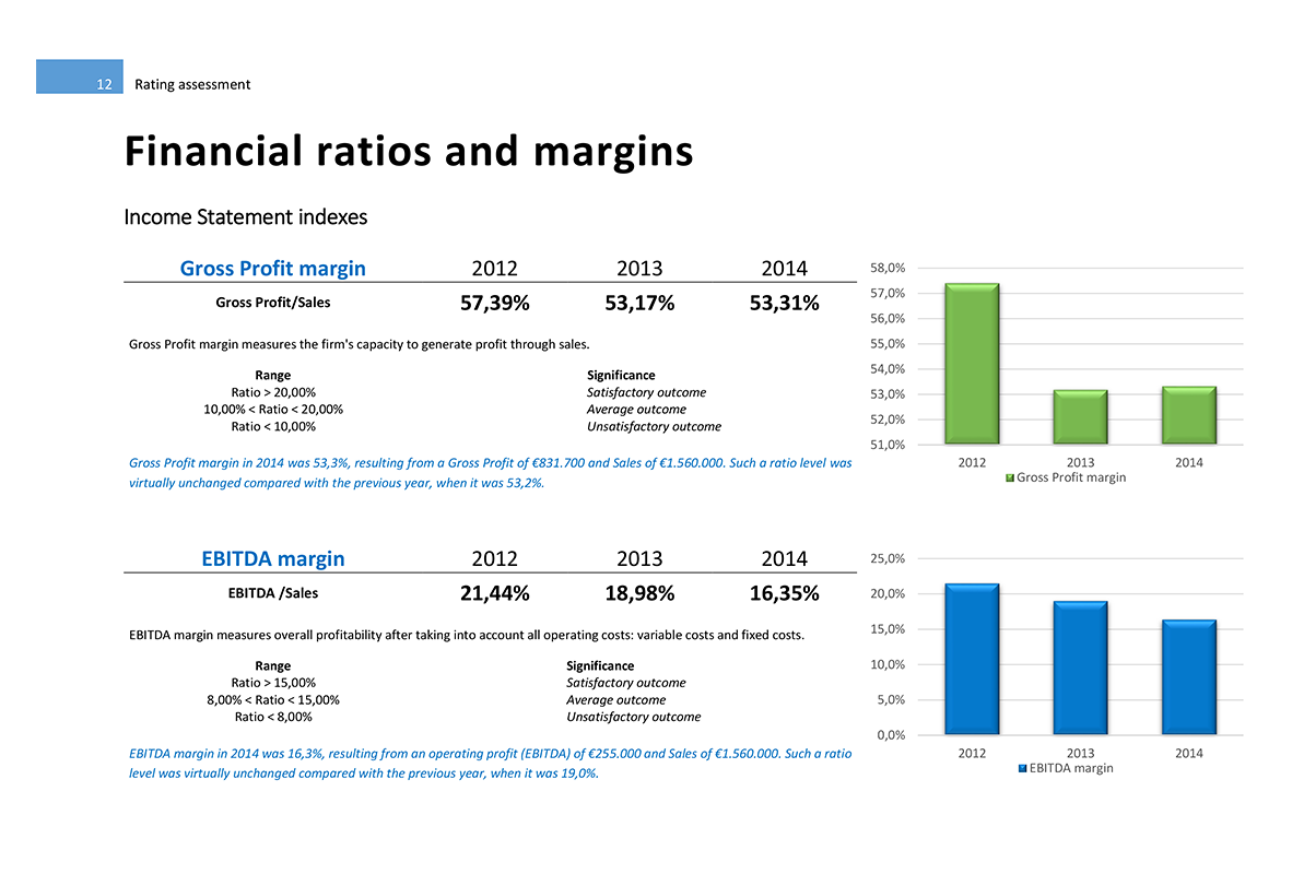 Software Financial Statement Analysis GAAP and IFRS - Financial ratios and margins