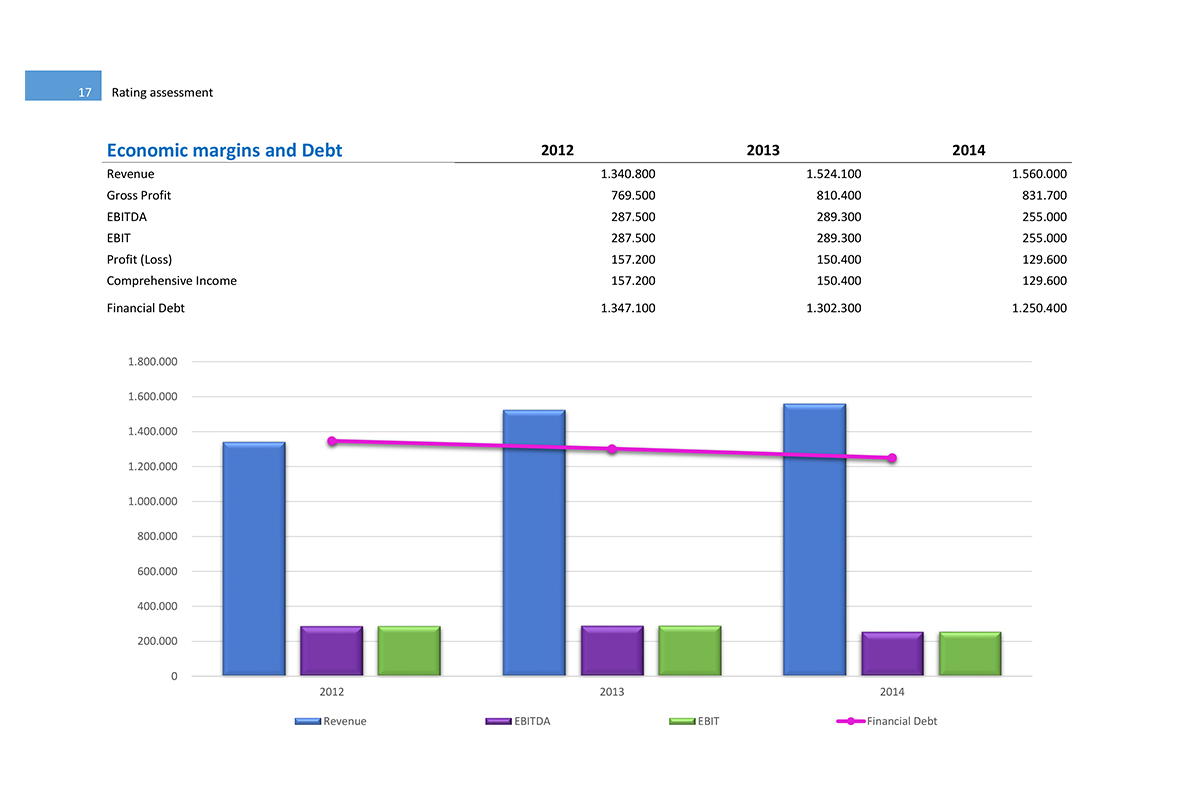 Software Financial Statement Analysis GAAP and IFRS - Economic margins and debt