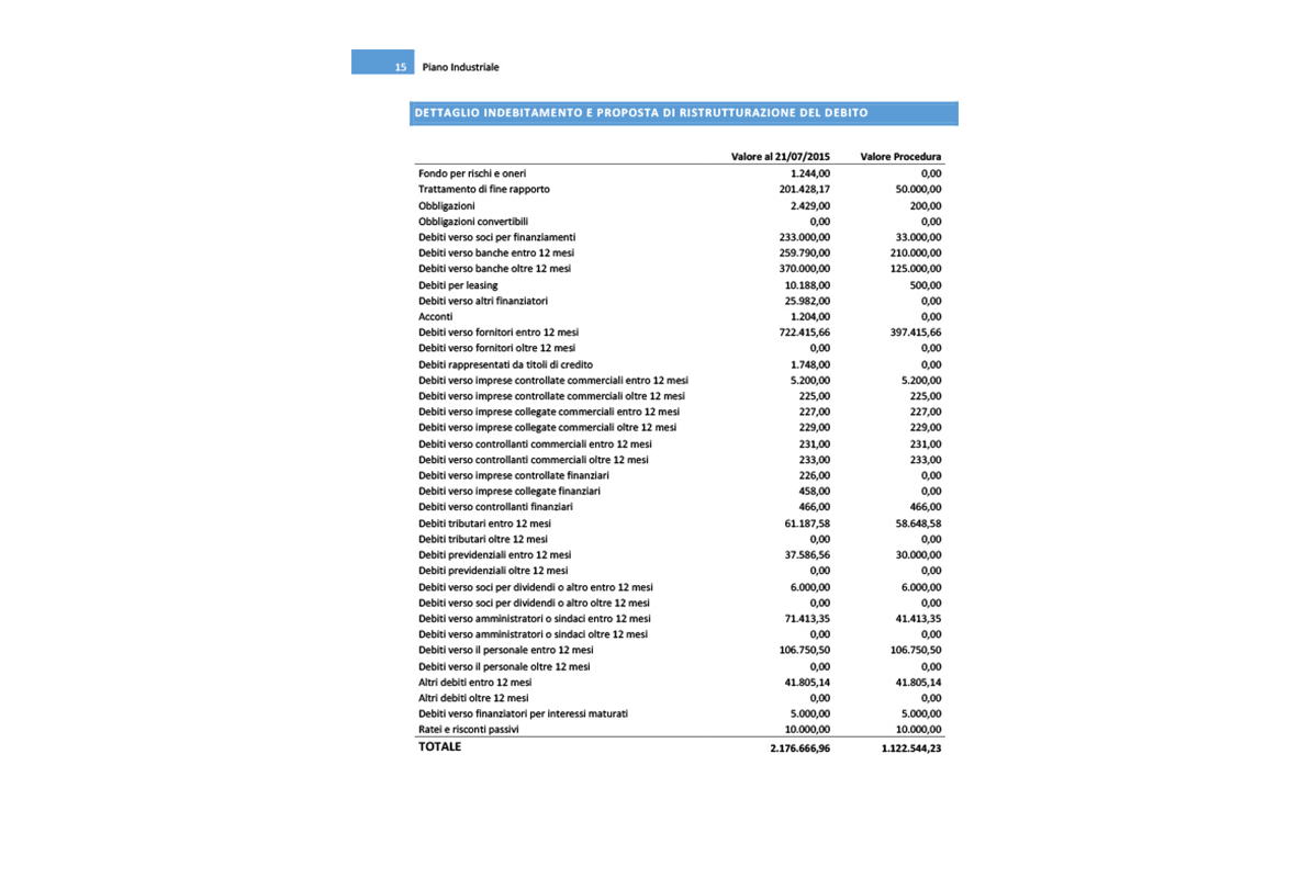 Software Piano Industriale Procedure Concorsuali - Dettaglio indebitamento