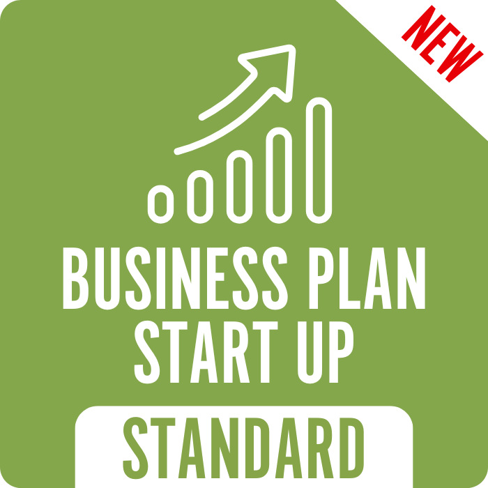 Business Plan Start Up Standard