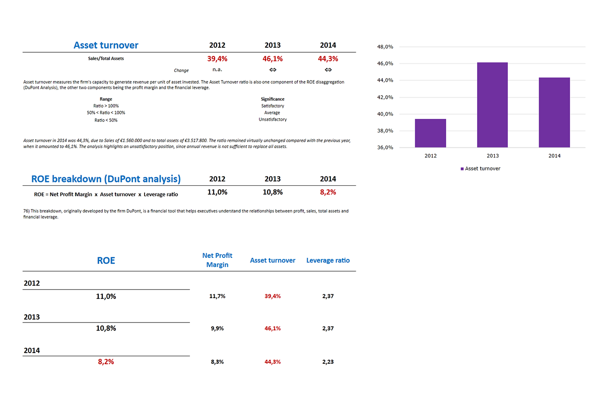 Software Financial Statement Analysis GAAP and IFRS - Report turnover
