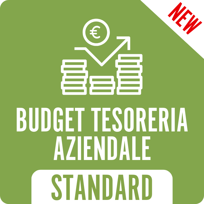 Budget Tesoreria Aziendale