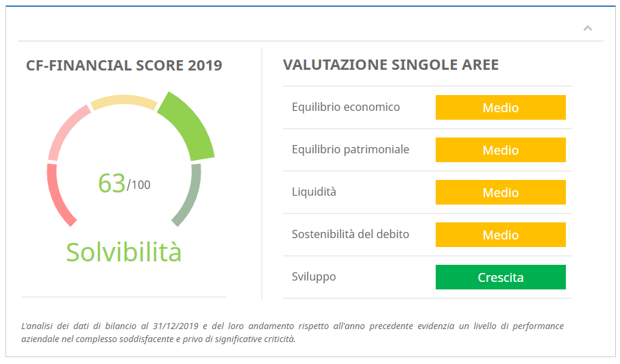 cf-score-report Report Centrale Rischi e Analisi di Bilancio - Analisi di bilancio e rating