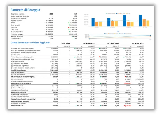 Software Controllo di Gestione - Dashboard interattive per l'analisi dei dati consuntivi