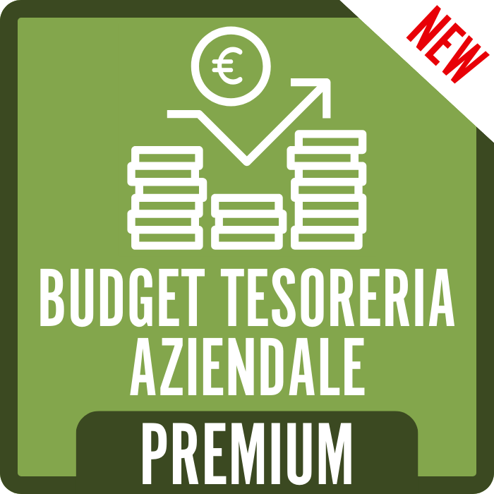 Budget Tesoreria Aziendale Premium