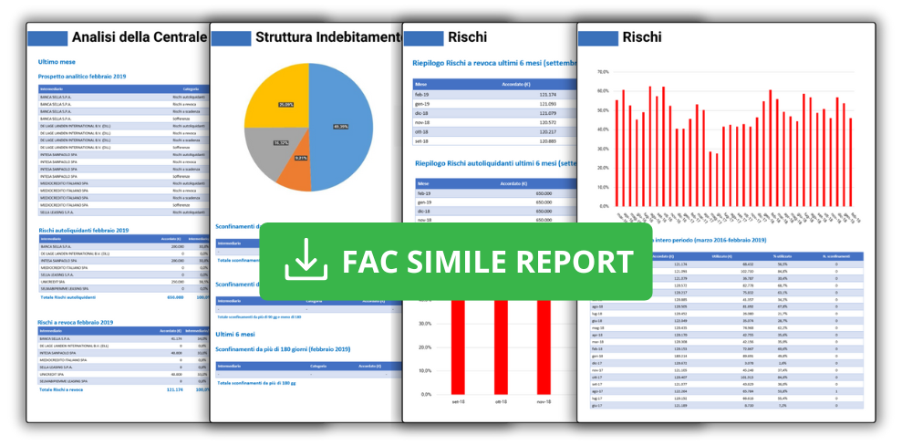 software Gestione della Crisi e strumenti di allerta fac simile report centrale rischi