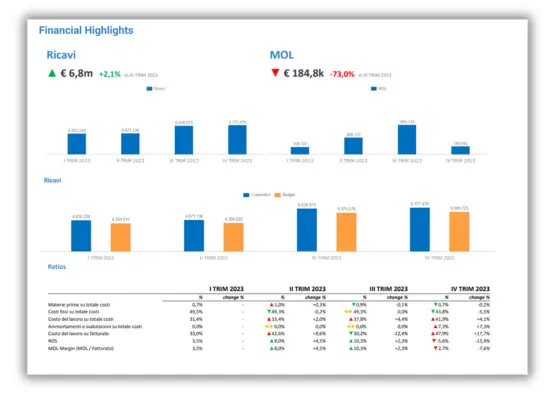 Software Controllo di Gestione - Financial Highlights