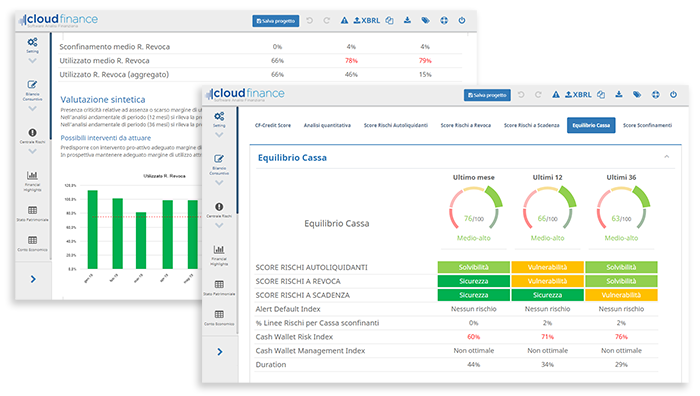 micro-score Report Centrale Rischi e Analisi di Bilancio - micro score