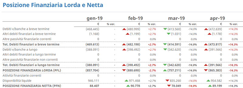 pf-netta Software Analisi di Bilancio Infrannuale - posizione finanziaria lorda e netta