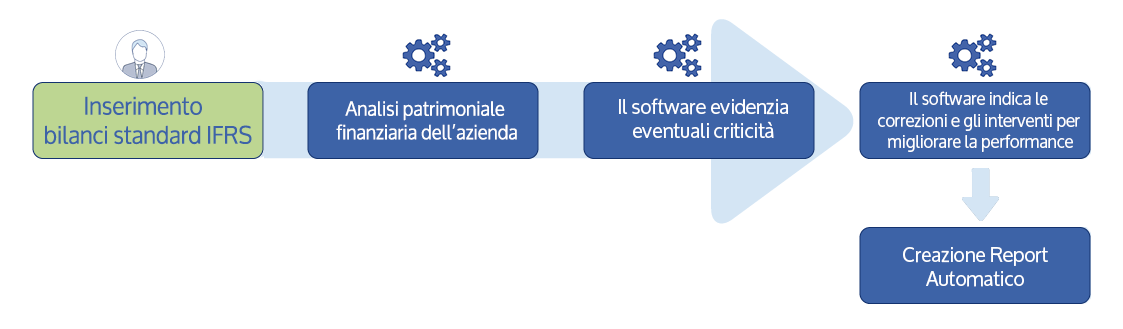 processo-analisi-bilancio_IFRS Software Financial Statement Analysis GAAP and IFRS - Inserimento bilanci standard ifrs