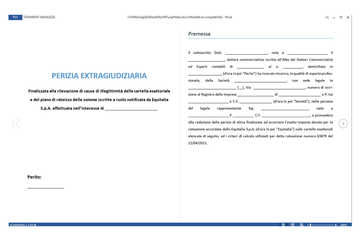 Perizia per Ricorso Cartelle Equitalia - Premessa