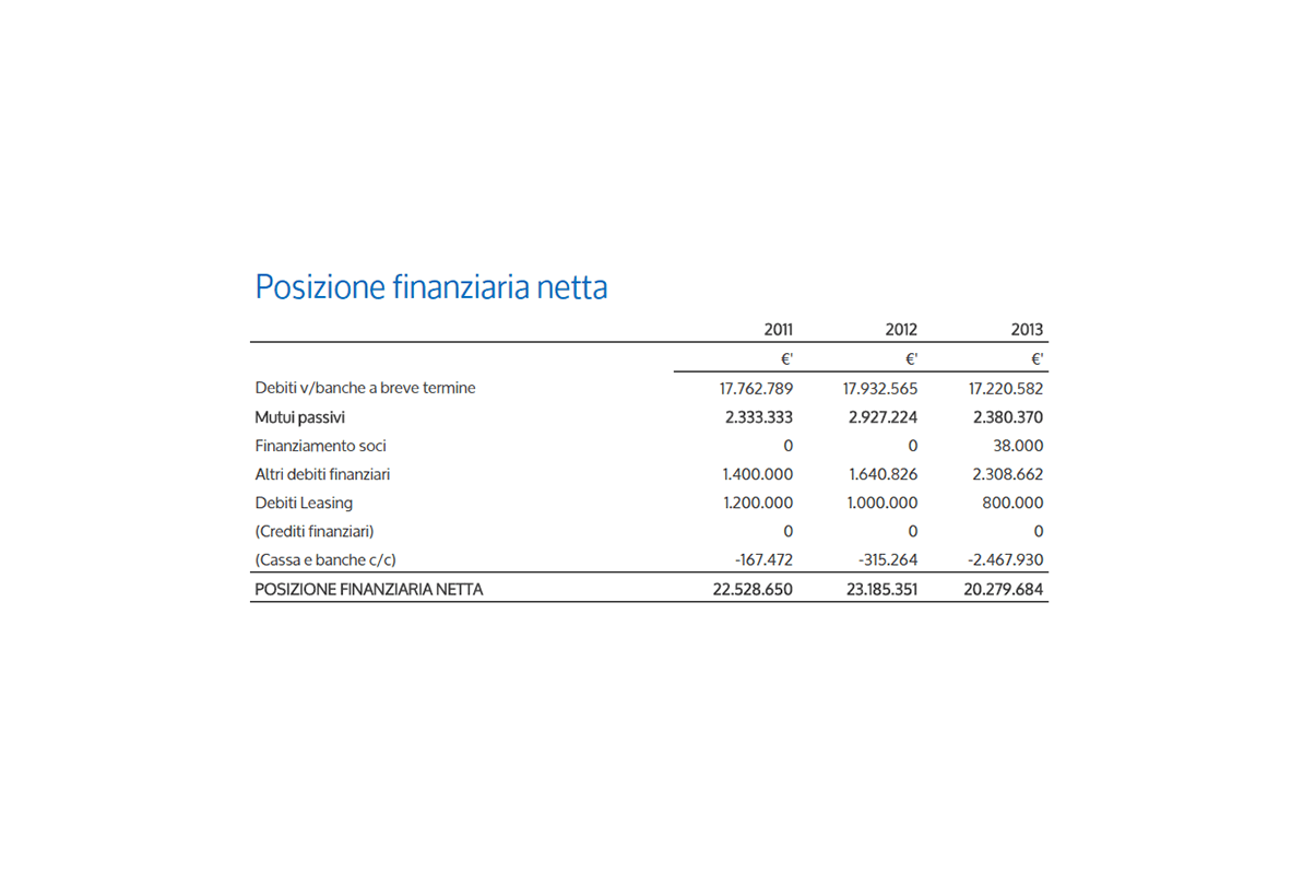 Report Analisi di Bilancio e Rating - posizione finanziaria netta