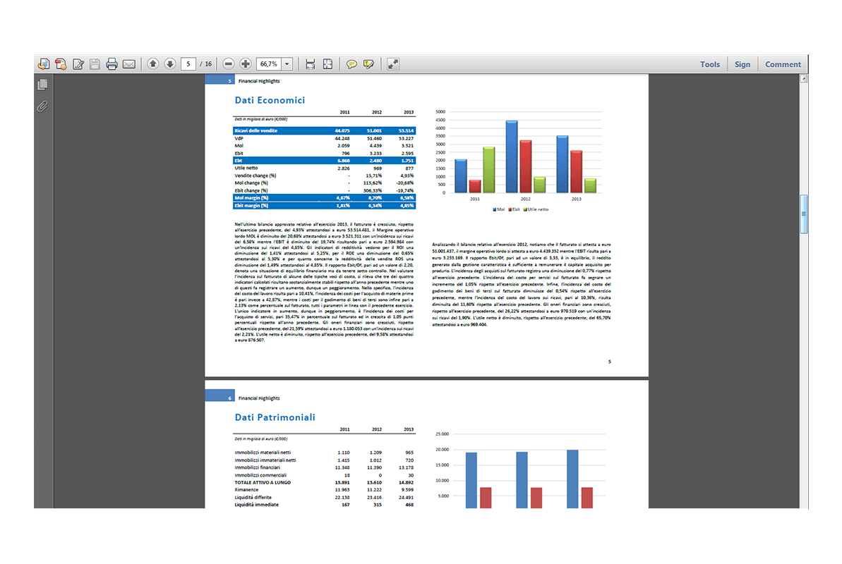 Report Analisi di Bilancio e Rating - dati economici