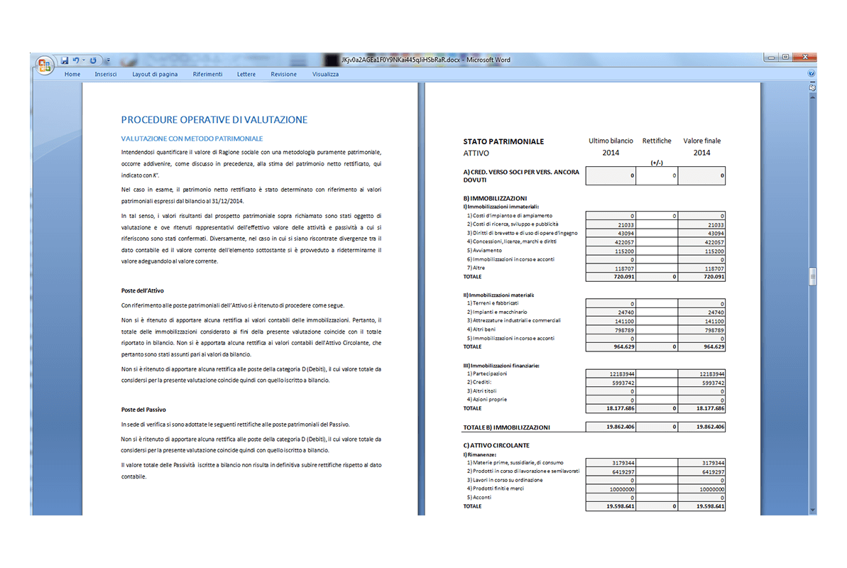 Perizia di Valutazione Aziendale - Report
