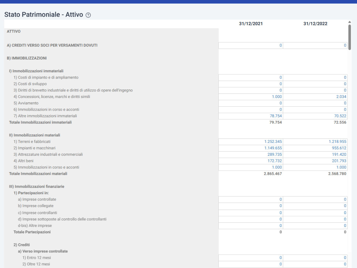 BT_Caricamento_bilancio Software Budget di Tesoreria Aziendale - Inserimento Bilancio